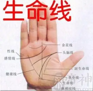 生命线断开错位又延伸的寓意解析