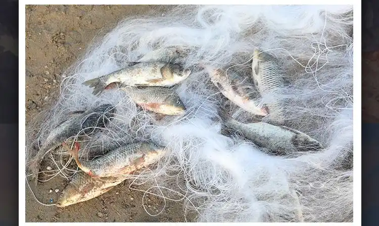 加粗鱼网三层100米沉网丝网粘网抓鱼网渔网自动捕鱼网挂网拦网沾