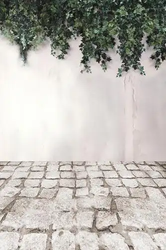 新款影楼婚纱主题背景纸背景架摄影背景布拍照拍摄背景影楼儿童摄