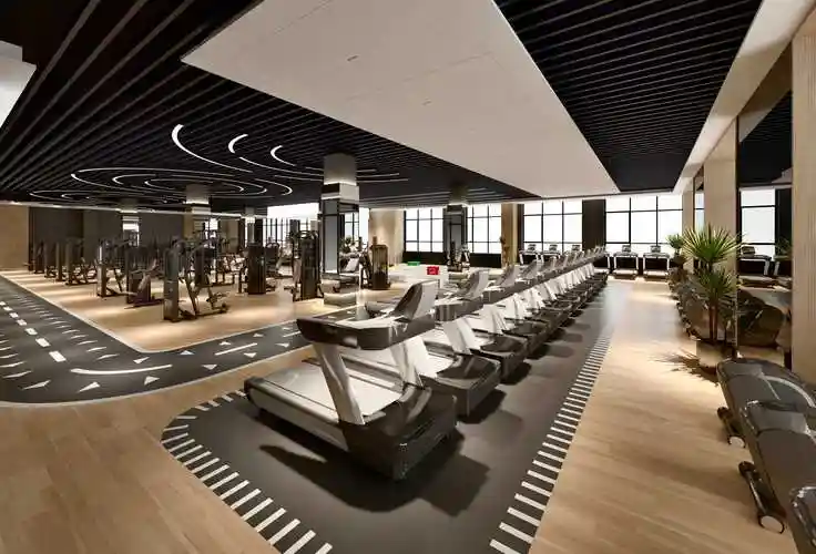 是目前高端健身场所使用率最多的一种,也是目前国内型号,功能最全的