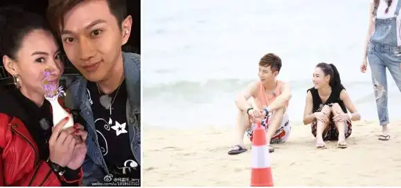 张柏芝泪洒节目"假戏真情"台湾暖男何孟怀?