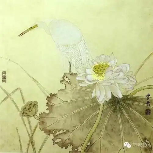 工笔荷花步骤画法,太全了~(100副作品欣赏)!
