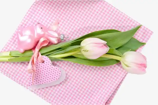 淡粉色郁金香免抠素材免费下载_觅元素51yuansu.com