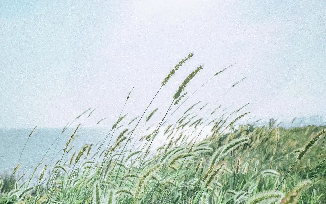 自然风景高清图片桌面壁纸~为你的桌面换上一张干净清新简约的壁纸吧!