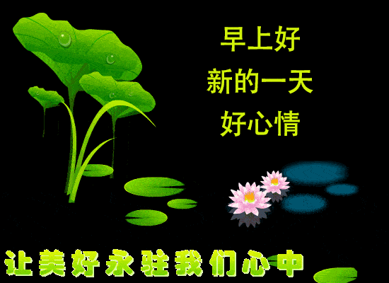 550_400gif 动态图 动图