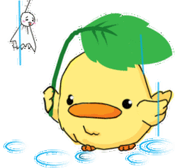 云豆的基本资料