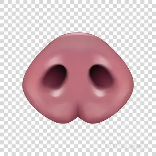 矢量逼真的3d 粉红色滑稽猪鼻子图标特写在透明网格背景上隔离.