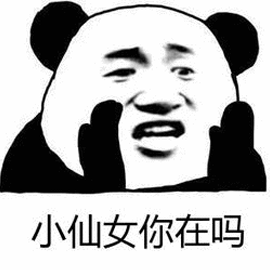 小仙女在吗熊猫人搞笑逗gif动图_动态图_表情包下载_soogif