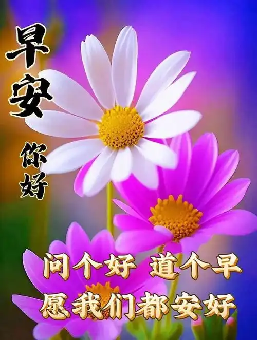 2023年12月10日星期日最新早安唯美漂亮问候祝福图片大全