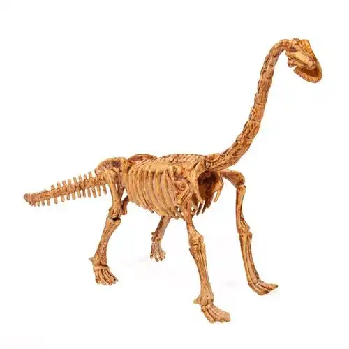 digitup 泰国进口考古恐龙挖掘化石骨架拼装腕龙模型手工创意益智儿童