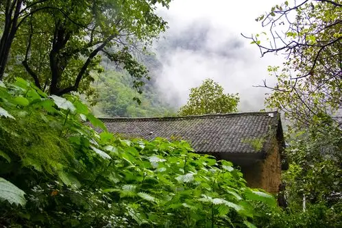 深山老林隐约有房舍