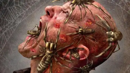 美国人轻视蜘蛛闯下大祸,无数蜘蛛吞食人类,人类却无可奈何