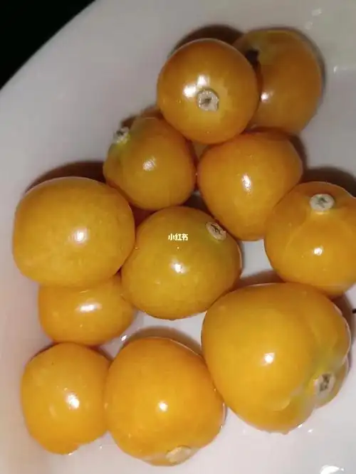 没吃过的灯笼果