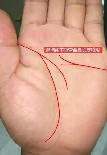 感情线如成锁链状,中断或断断续续及有岛纹附上,而且拥有一双柔软很富