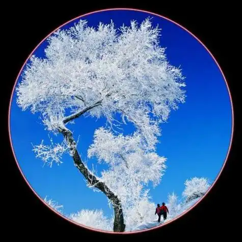 特别好看风景头像,创意圆形冬天雪景是不是很美
