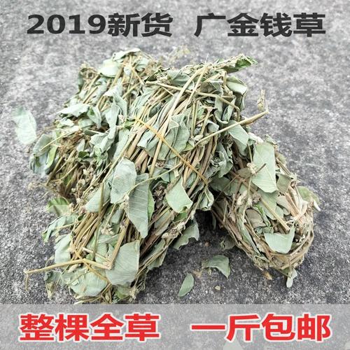 广金钱草整棵全草广西野生新鲜生晒大叶金钱草溶石结石肾泡水一斤