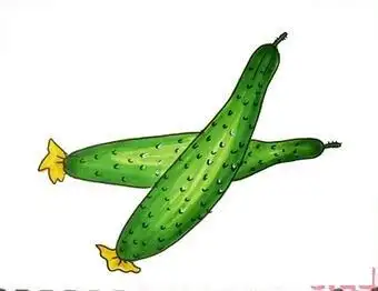 黄瓜简笔画蔬菜简笔画黄瓜简笔画教程