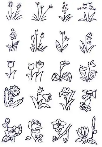 100种花的简笔画