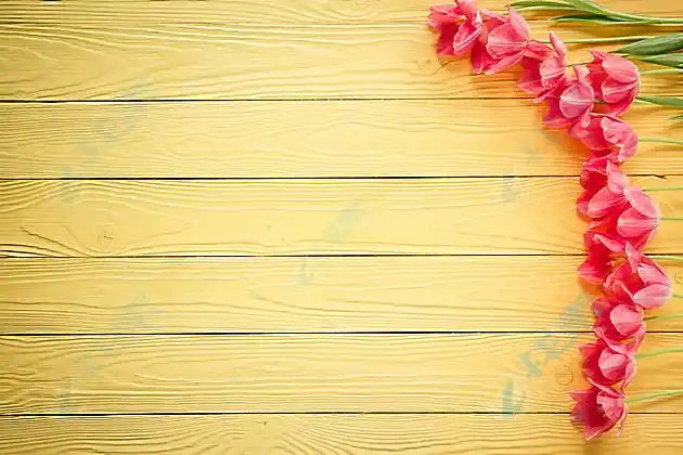 鲜艳花朵背景页面高清图片下载