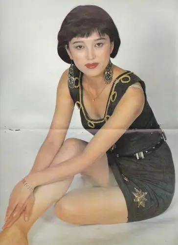 p>高宝宝,1964年1月11日出生于吉林省长春市,籍贯北京,中国内地女