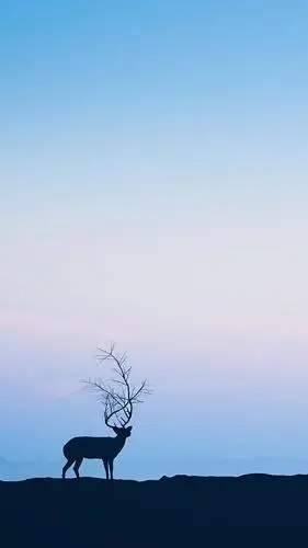 唯美雄鹿梦幻背景,高清图片,手机锁屏桌面-壁纸族