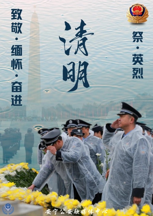 致敬缅怀奋进清明祭英烈