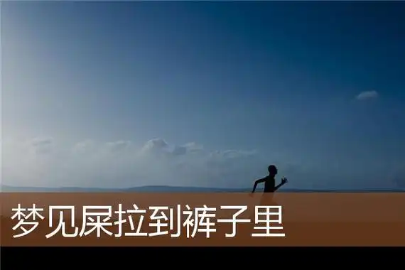 梦见屎拉到裤子里