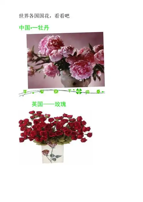 世界各国国花名称