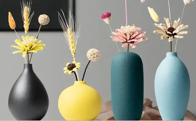 笔者在设计过程中重新整合了自然形态语言与家居陶瓷设计的概念,同时