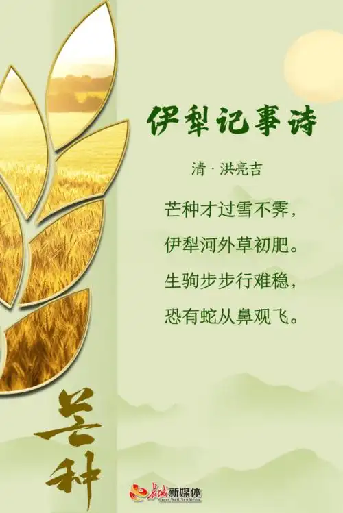 芒种61诗节风吹麦成浪蝉鸣夏始忙
