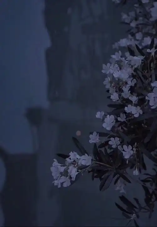 ins手机壁纸高清无水印 欧美风微信聊天背景图