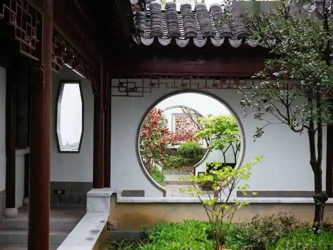 庭院_夏有树_生活