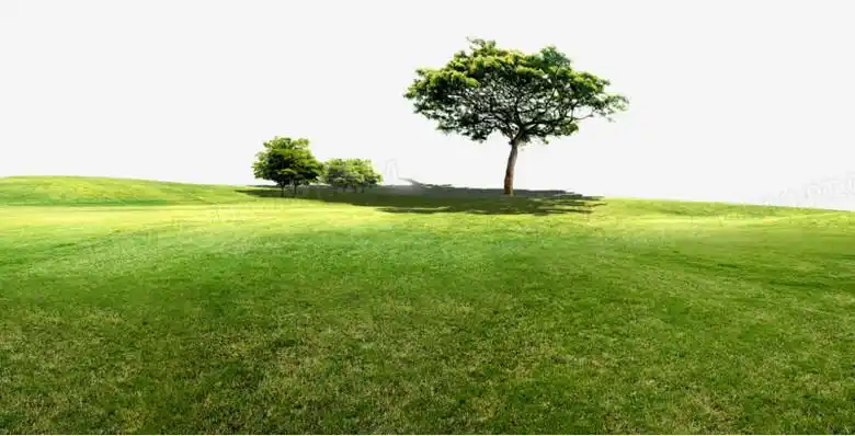 草坪png图片素材下载_草坪png_熊猫办公