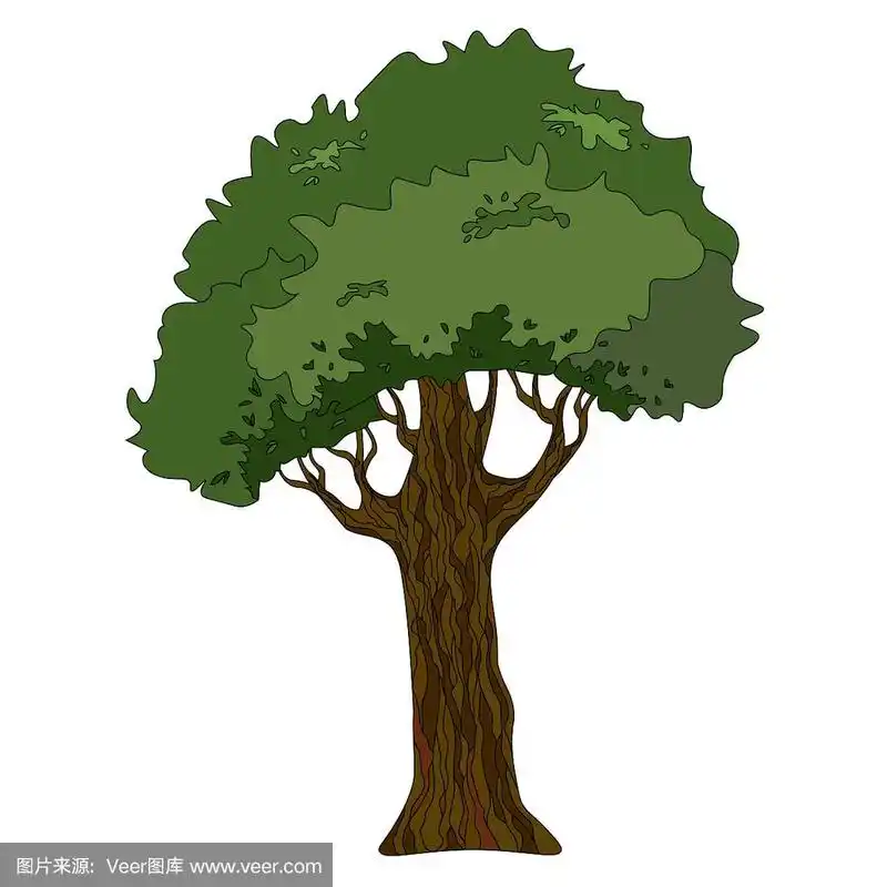 一个带冠和树干的树的矢量画.