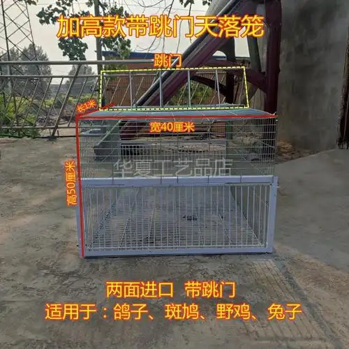 品质京选逮鸟夹子安救助抓鸽子野外捕鸽子抓器网自动大号诱捕逮鸽子