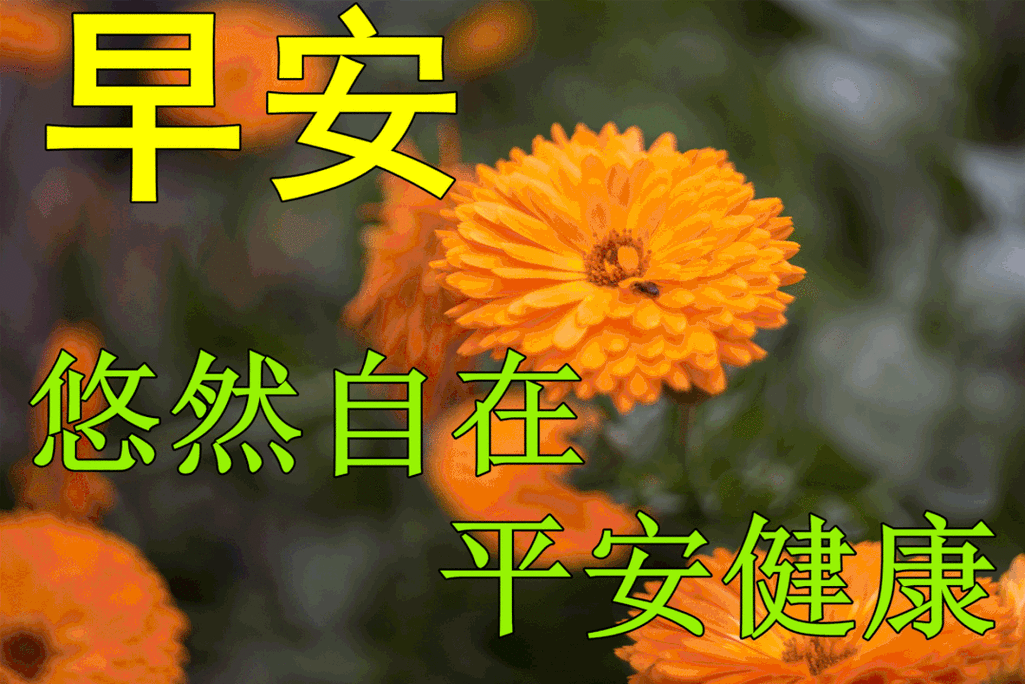 初夏最新清晨早安问候早上好动态图片 最漂亮的早上好图片带文字