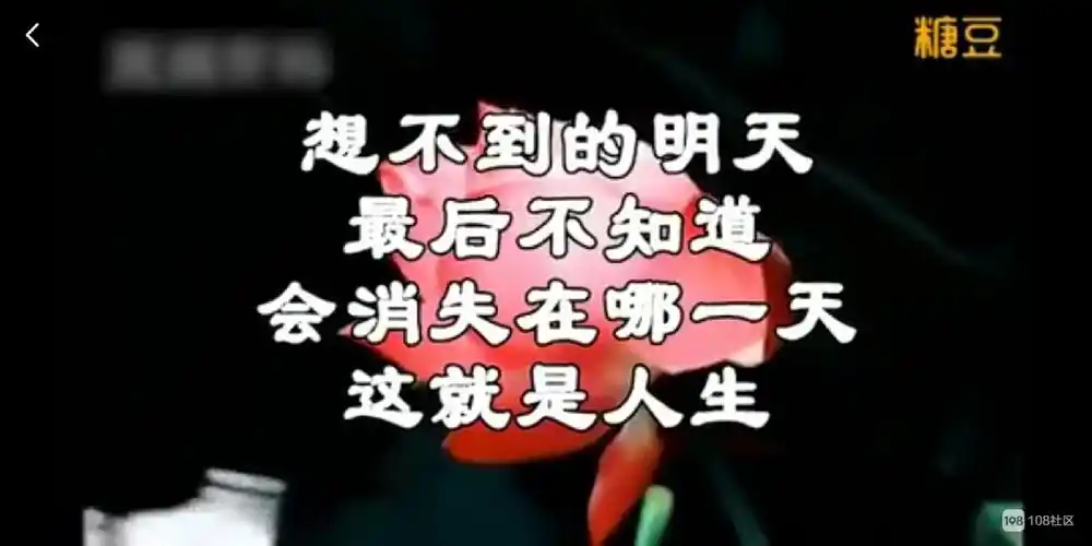 此生 一无所有,无牵无挂,负债累累,没心没肺, 二十七的人生永别
