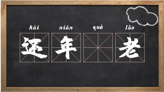 还年却老的意思还年却老出处造句