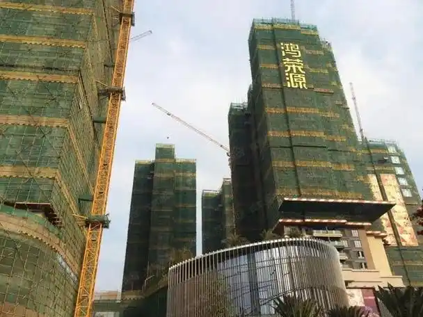 1965年,赖海民出生于广东普宁,和佳兆业郭英成,星河地产黄楚龙一样