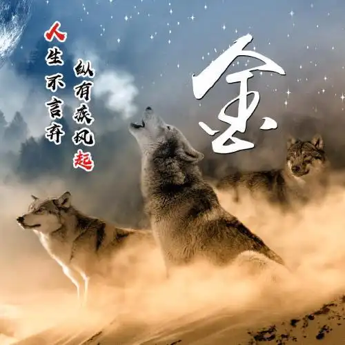 狼性励志姓氏头像,狼配合励志的句子-文字头像