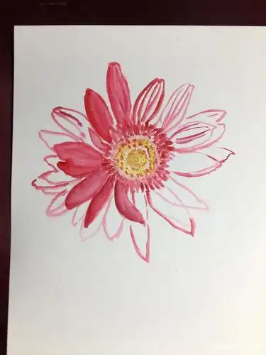手绘一朵漂亮的非洲菊