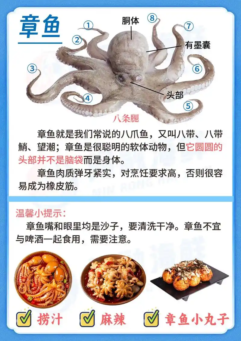 头是圆的还有腿是什么鱼 - 抖音