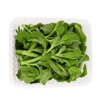 芬果时光 新鲜冰草菜水晶菜 约1.5斤 *2件