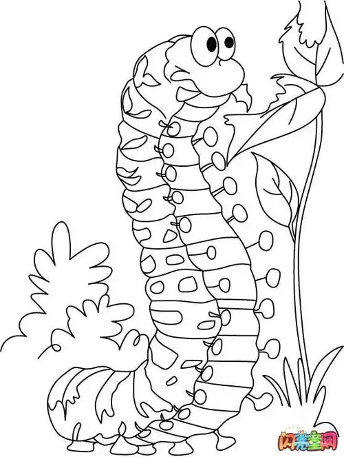 吃树叶的毛毛虫简笔画图片