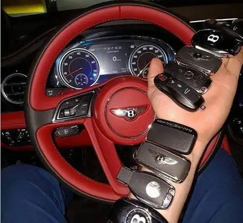 2016炫富全球之最:美女用钱"遮羞",豪车钥匙分不清,用钱垫马桶