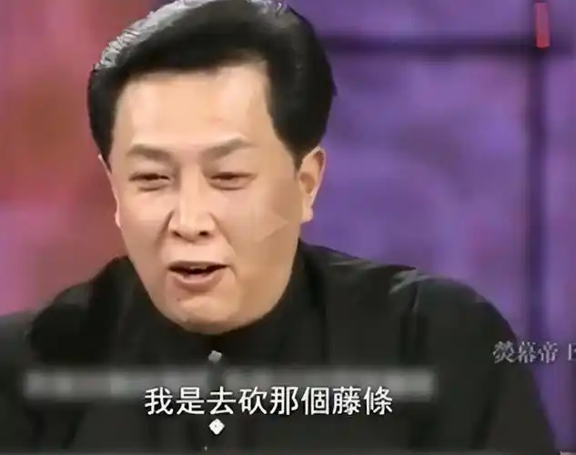 嫁大12岁唐国强,连生两子,如今一家五口其乐融融|孙涛|张铁林|对手戏