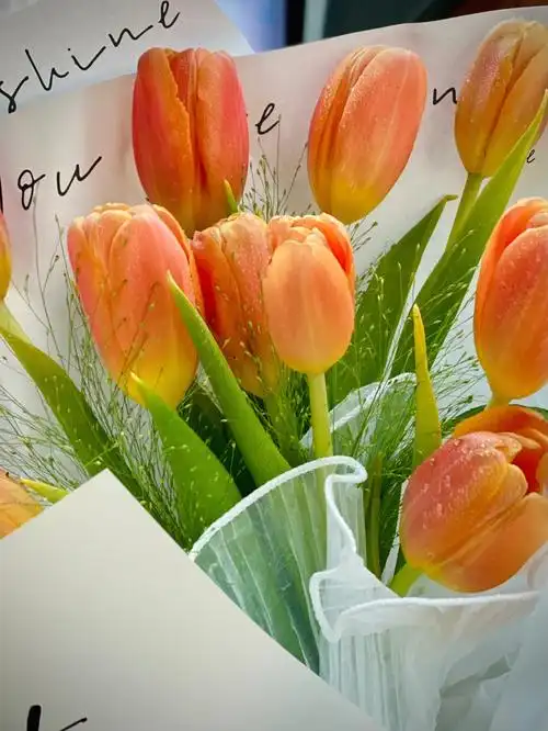 橙色郁金香喜悦热烈