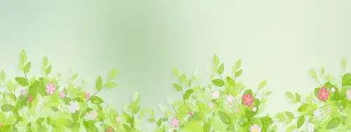 清新可爱浪漫爱情鸟爱心心形花卉北欧背景