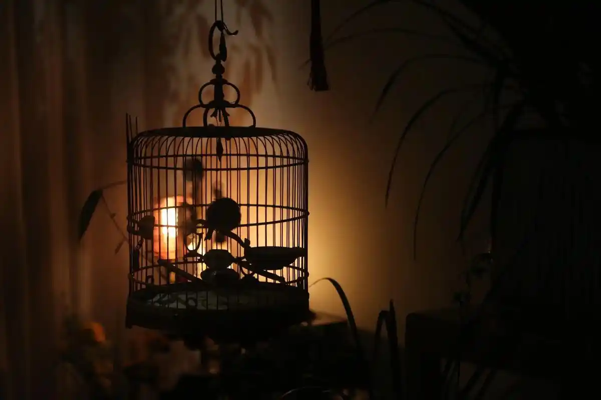 独处是一个人的修行,安安静静就好!#享受安静和独处 #心安即 - 抖音