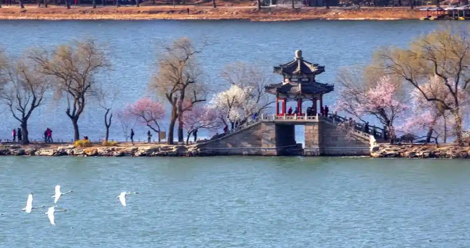 张晓莲摄影故事颐和园摄影第一人